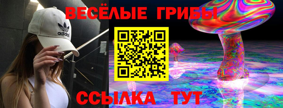 Галлюциногенные грибы прущие грибы  Вход с VPN  Псилоцибиновые грибы Psilocybe  Рубцовск 