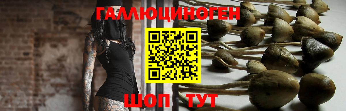 Галлюциногенные грибы GOLDEN TEACHER Рубцовск